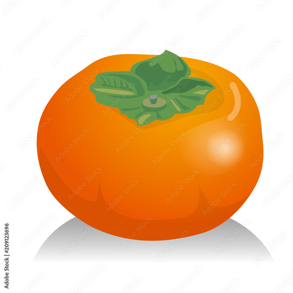 柿のイラスト 果物のイラスト 秋の味覚 Persimmon ベクターデータ Stock Vektorgrafik Adobe Stock