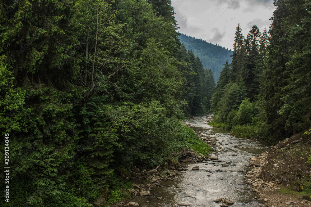 Obraz premium mountain river between forest nature landscape 