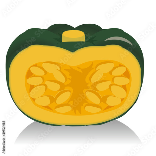 緑のカボチャのイラスト 断面 野菜のイラスト Pumpkin ベクターデータ Stock ベクター Adobe Stock 緑のカボチャのイラスト 断面 野菜のイラスト Pumpkin ベクターデータ Stock ベクター Adobe Stock