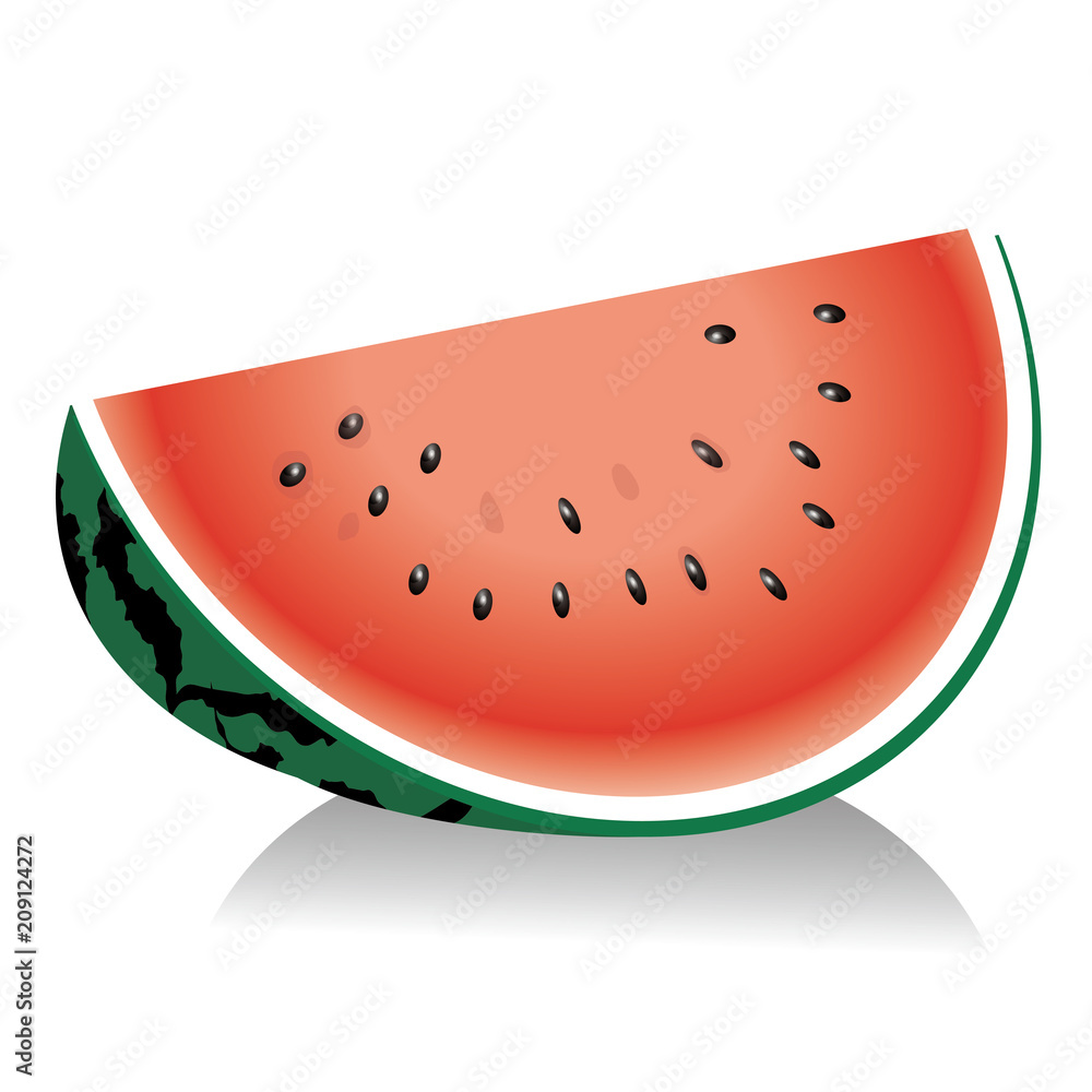 スイカのイラスト カット 夏の味覚 野菜のイラスト Watermelon Stock ベクター Adobe Stock
