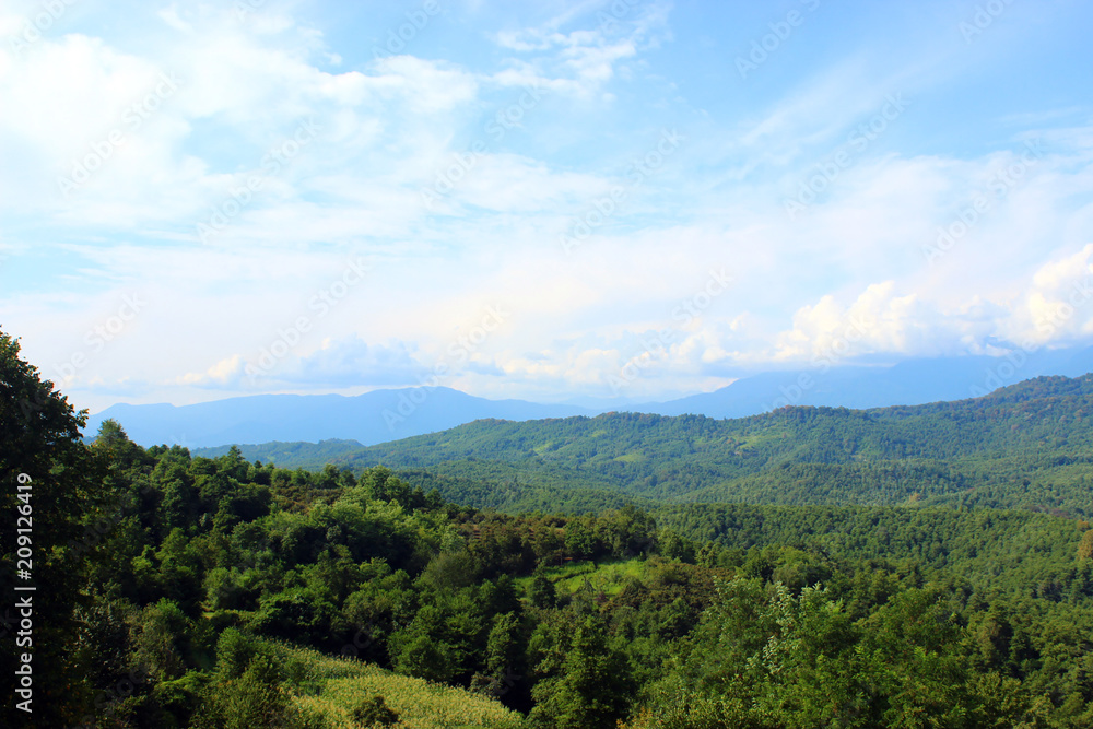 Fototapeta premium Нетронутая природа