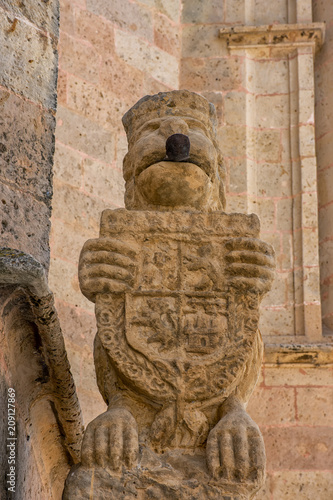 Leon de piedra, catedral de segovia