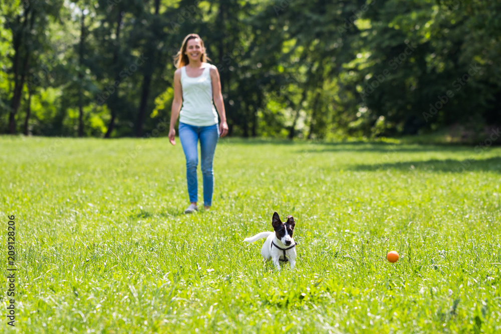 Woman and her dog Jack Russell Terrier playing in the nature .