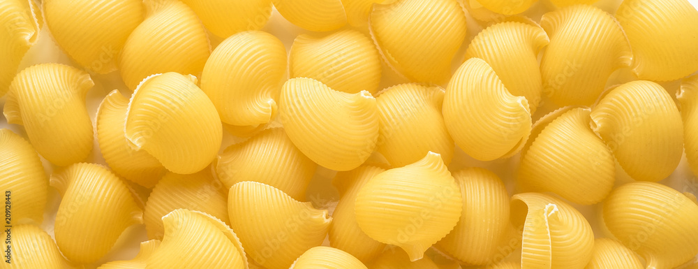 Food background Uncooked Macaroni Lumaconi Food background Uncooked Macaroni Lumaconi