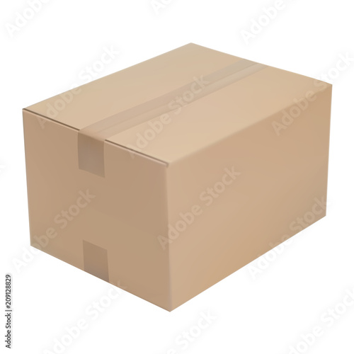 Realistic vector box