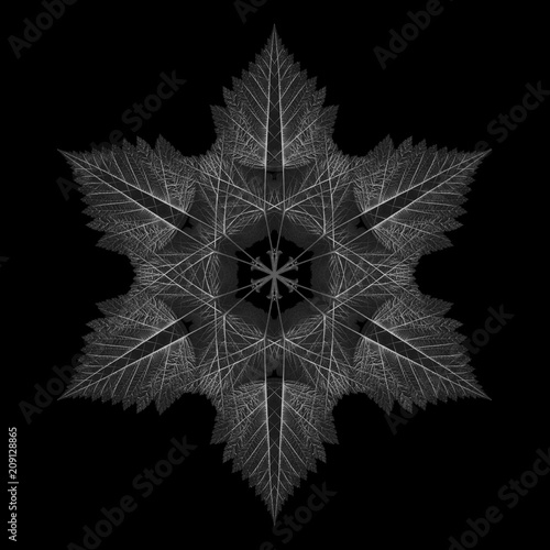 Leaf Snowflake photo