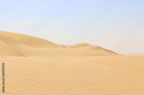 Die leere Wüste