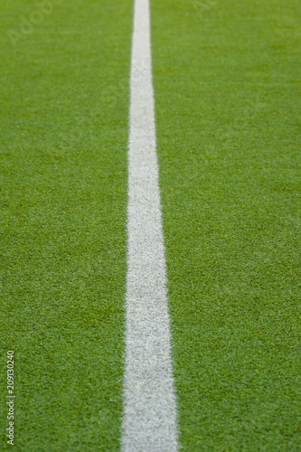 Texture of the herb cover sports field. Used in tennis, golf, baseball, field hockey, football, cricket, rugby. © Augustas Cetkauskas