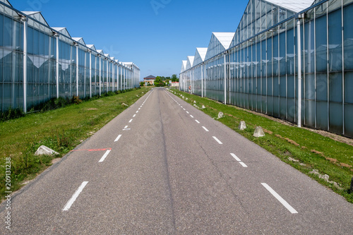 Wallpaper Mural Greenhouses at both sides of the road in the Netherlands Torontodigital.ca
