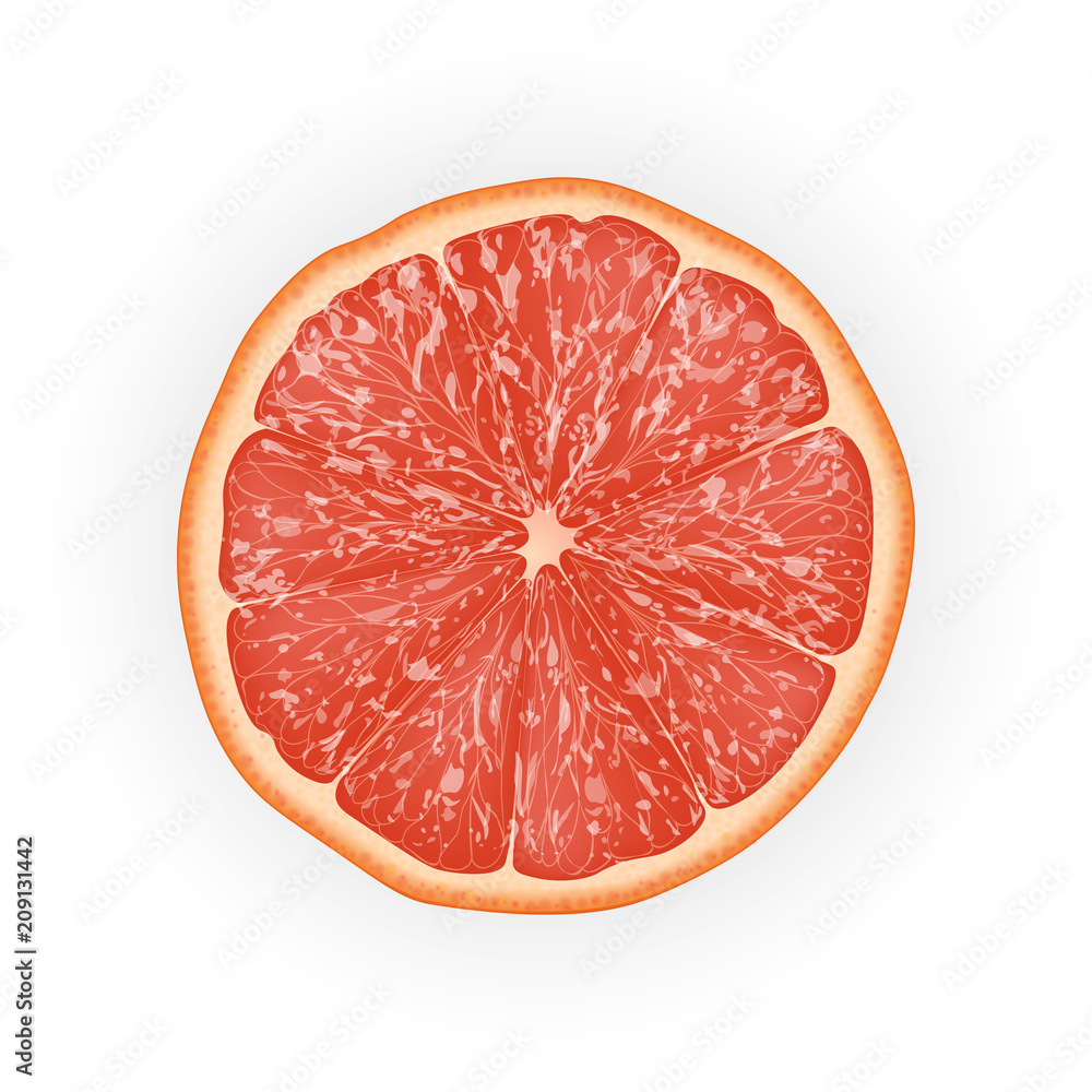 Realistic 3d Vector Illustration of sliced grapefruit. Colourful citrus. Good for packaging design and ads. Realistic 3d Vector Illustration of sliced grapefruit. Colourful citrus. Good for packaging design and ads.