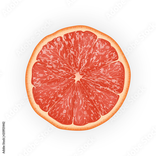 Realistic 3d Vector Illustration of sliced grapefruit. Colourful citrus. Good for packaging design and ads.
