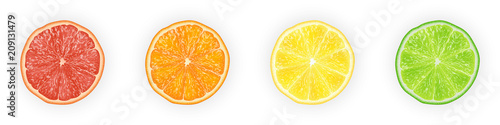 Realistic 3d Vector Illustration Set of sliced  orange, grapefruit, lemon, and lime.  Colourful citrus background.