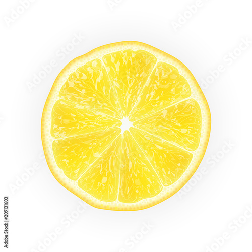 Realistic 3d Vector Illustration of sliced yellow lemon fruit. Colourful citrus. Good for packaging design and ad.