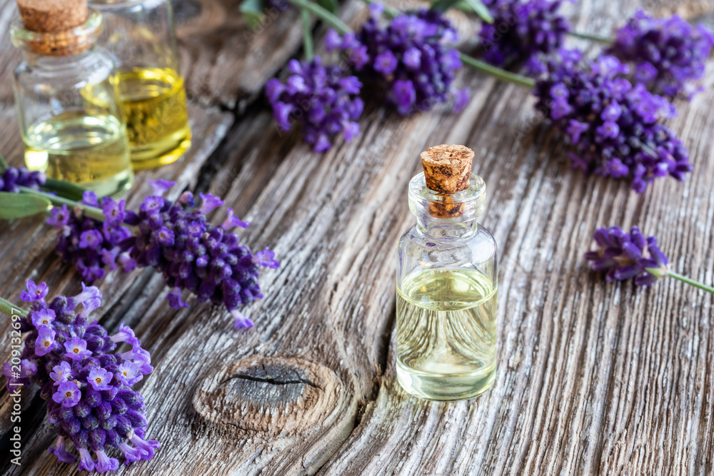 Fototapeta premium A bottle of lavender essential oil with fresh blooming lavender