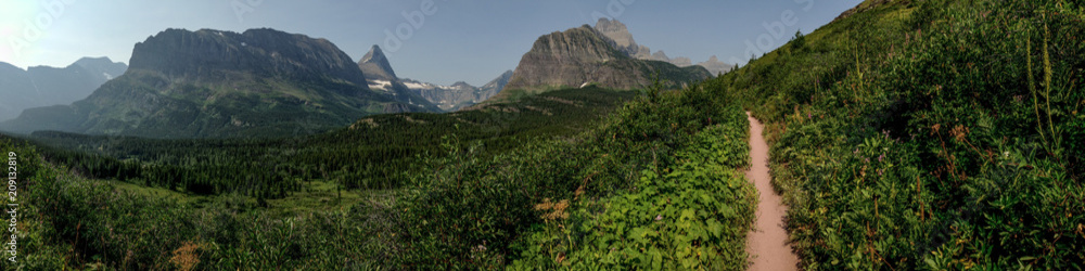 Obraz premium The Path Of Life