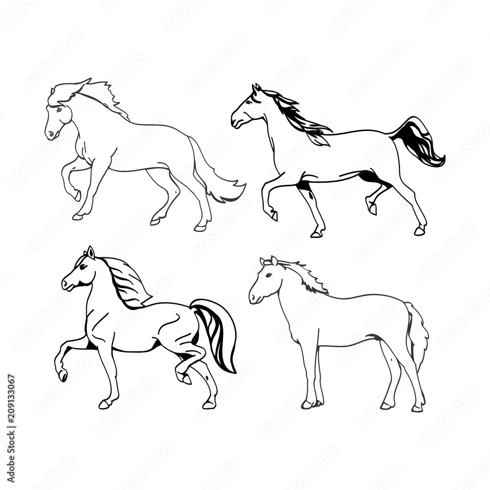 Graphic image of a horse on a white background Graphic image of a horse on a white background