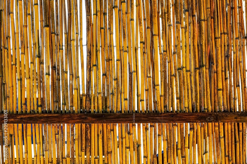 Fence of bamboo poles, a number of trunks that are fastened to each other