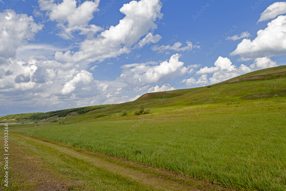 Green field and blue sky. Beautiful view of the grass and the hills on a sunny summer day.