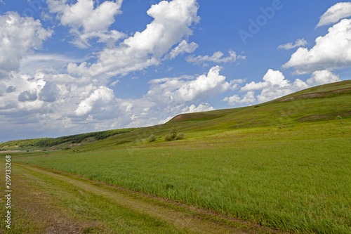 Green field and blue sky. Beautiful view of the grass and the hills on a sunny summer day.