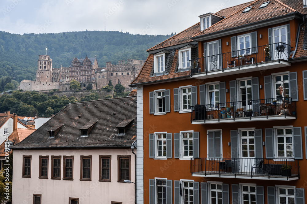 Fototapeta premium Heidelberg Castle behind houses