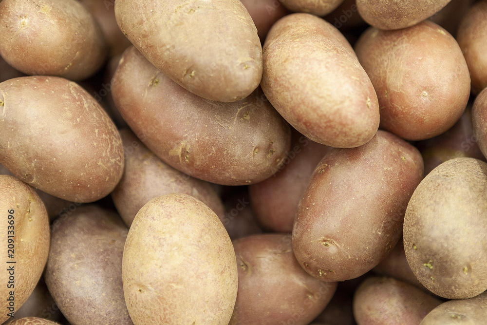 Tubers of red pure potatoes in the shop window. Tubers of red pure potatoes in the shop window.