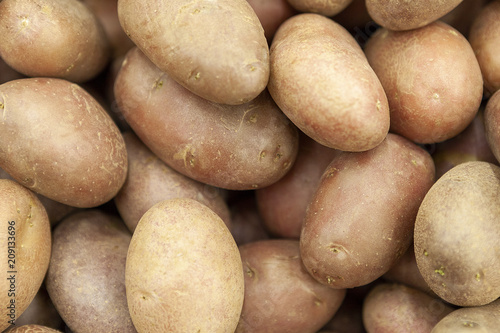 Tubers of red pure potatoes in the shop window.