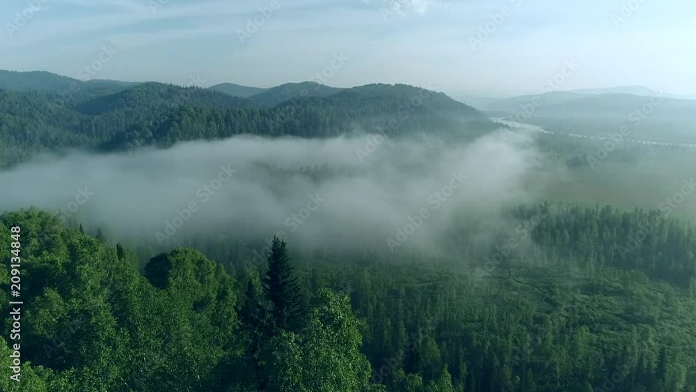 through the fog through the fog