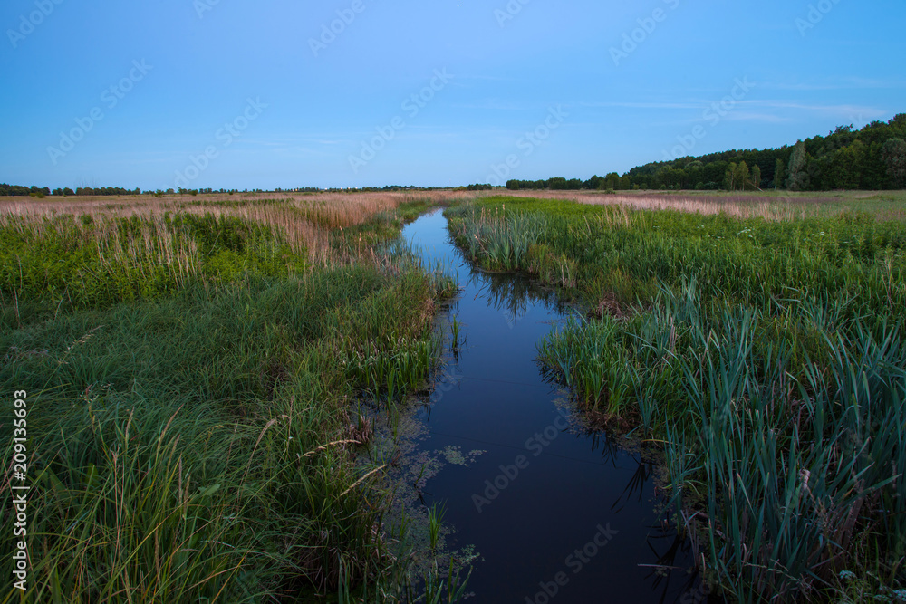 Evening landscape of a small river among a green meadow with dark water