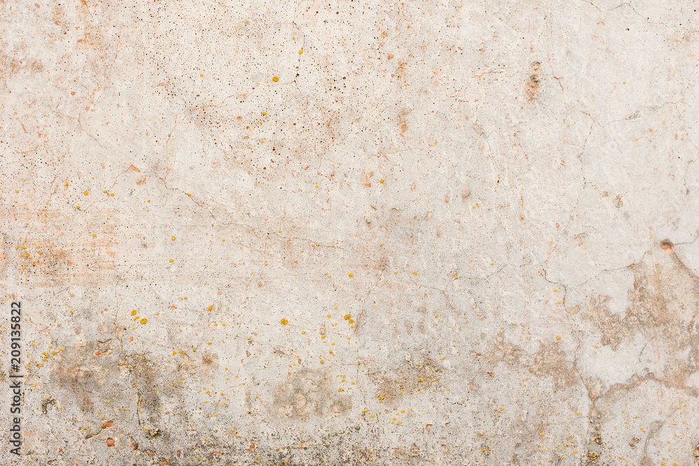 Wall fragment with scratches and cracks Wall fragment with scratches and cracks
