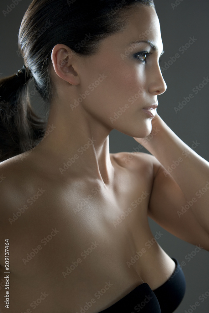 Model Beauty Stylish Makeup Portrait Model Beauty Stylish Makeup Portrait