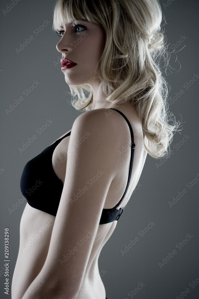 Model Beauty Stylish Makeup Portrait Model Beauty Stylish Makeup Portrait