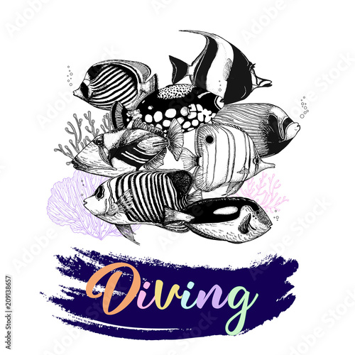 Set of hand drawn sketch style tropical fish isolated on white background. Vector illustration.