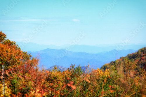 Fall in the Great Smokey Mountains