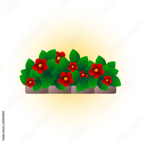 flower bed vector illustration