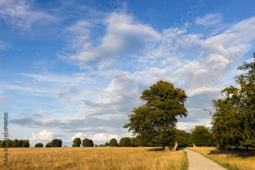 Photography evening in Jaegersborg Dyrehave park, north of Copenhagen