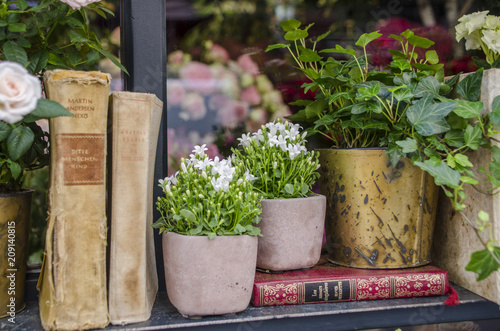 French Plants