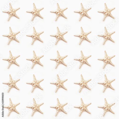 Seamless pattern with seashells collection. Top view