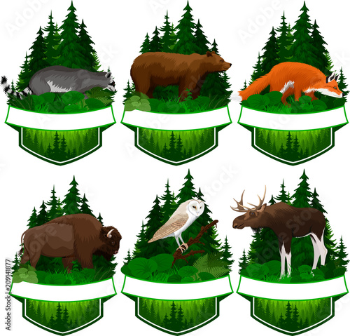 set of vector woodland emblems with  barn owl, red fox, racoon, grizzly bear,  moose bull and zubr buffalo bison