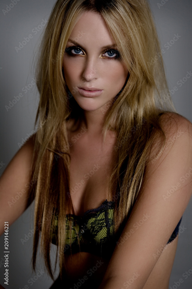 Model Beauty Stylish Makeup Portrait Model Beauty Stylish Makeup Portrait