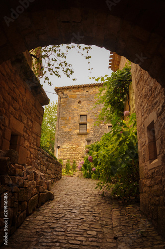 Fototapeta Naklejka Na Ścianę i Meble -  Narrow Alley in the Little Medieval Village of Bruniquel