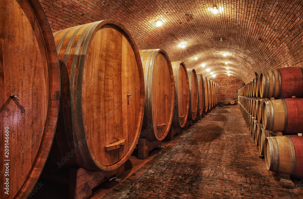 Wine barrels in wine-vaults in order

