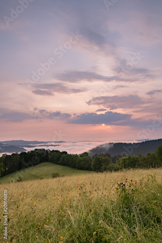 Sonnenaufgang im Schwarzwald 