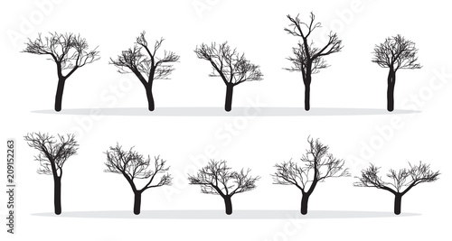 Naked Trees Silhouettes Set. Hand Drawn Isolated. Autumn. Spring. Fall. Vector