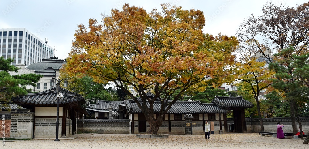 Traditional dress, autumn, Seoul
