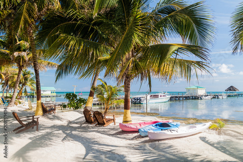 Palms and beach at Caye Caulker island, Belize photo