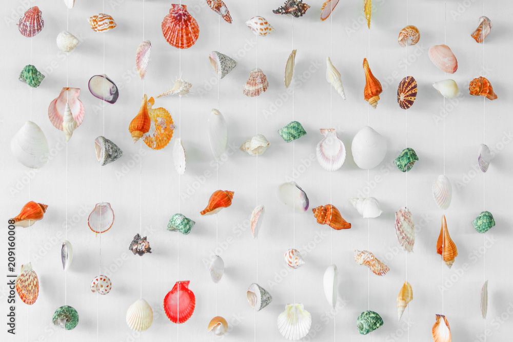 Variety seashells hanging isolated on the white wall Variety seashells hanging isolated on the white wall