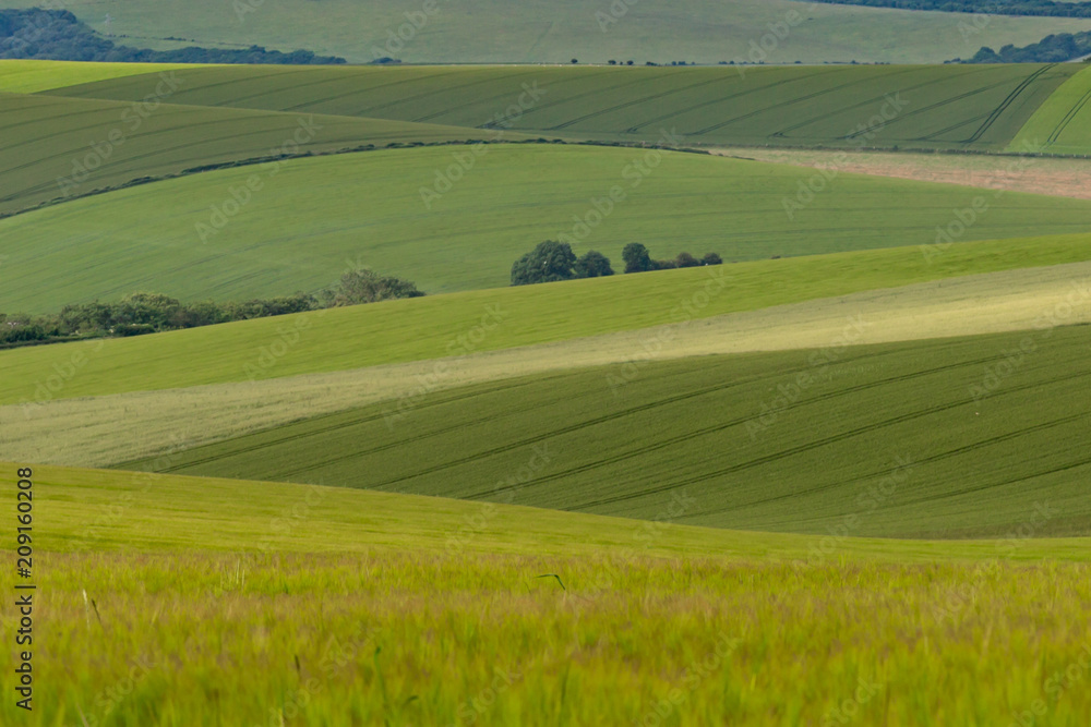 A full frame photograph of a rolling South Downs landscape of green fields