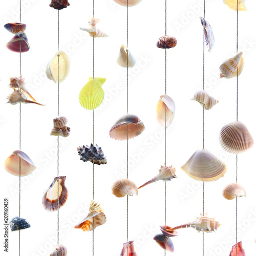 Variety seashells hanging isolated on the white wall