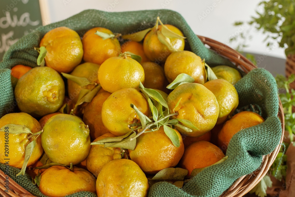 mexerica tangerina