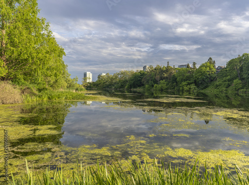 Photography A lake surrounded by trees  in the High Park in Toronto with rooftops of modern
